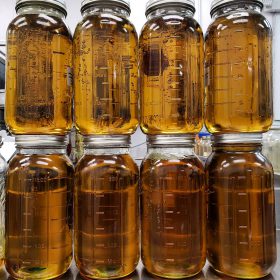 goldie.locks.extracts